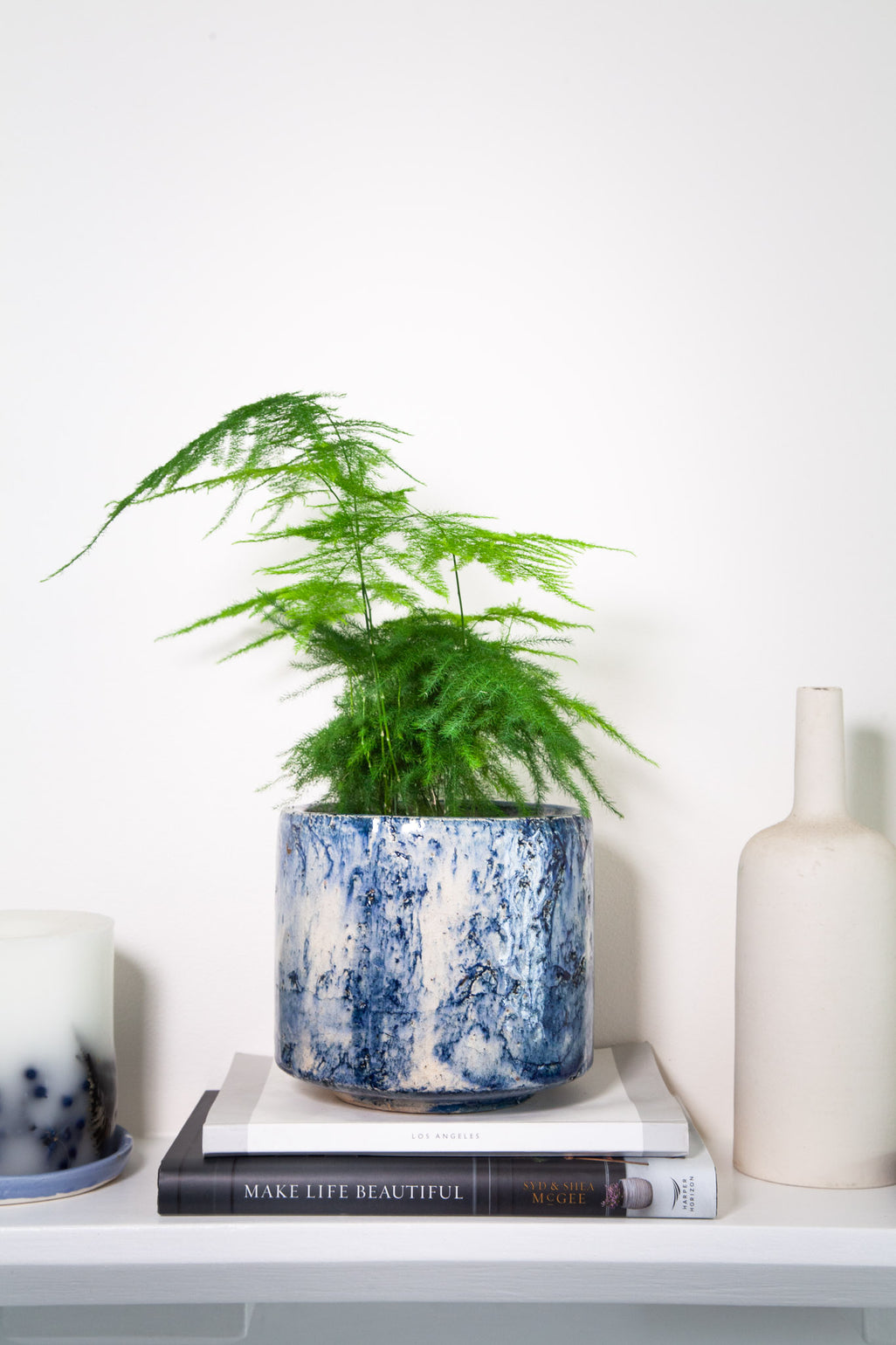 files/IndoorPlants-LeighShots16.11.2023-159.jpg